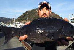 伊豆下田フィッシング 釣果