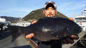 伊豆下田フィッシング 釣果