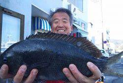 伊豆下田フィッシング 釣果