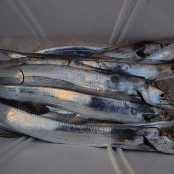 アジアマリンサービス 釣果