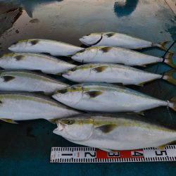 アジアマリンサービス 釣果