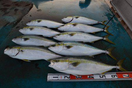 アジアマリンサービス 釣果