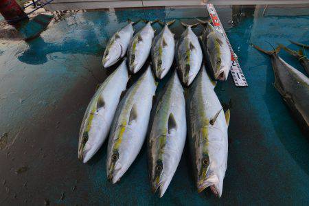 アジアマリンサービス 釣果