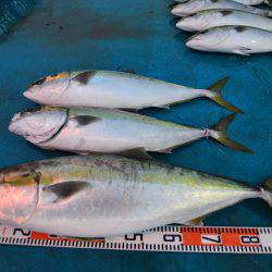 アジアマリンサービス 釣果