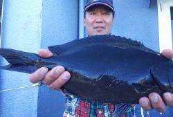 伊豆下田フィッシング 釣果