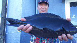 伊豆下田フィッシング 釣果