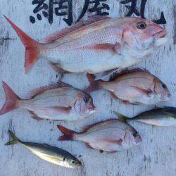 網屋丸 釣果