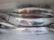 おおせき丸 釣果