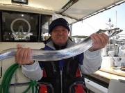 おおせき丸 釣果