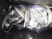 おおせき丸 釣果