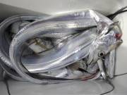 おおせき丸 釣果