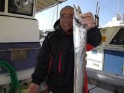 おおせき丸 釣果