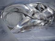 おおせき丸 釣果