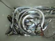 おおせき丸 釣果