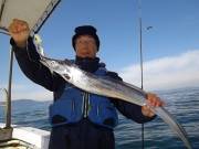 おおせき丸 釣果