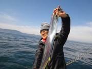 おおせき丸 釣果