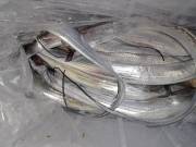 おおせき丸 釣果