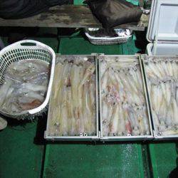 海宝丸 島根 釣果