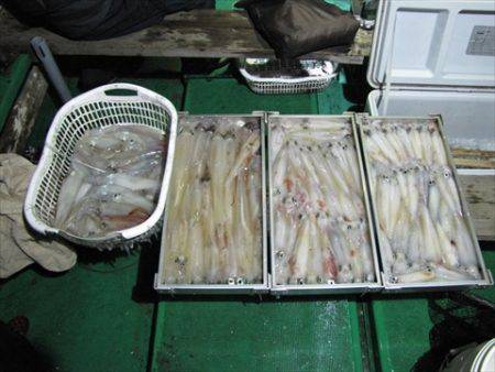 海宝丸 島根 釣果