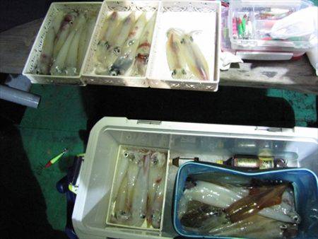 海宝丸 島根 釣果