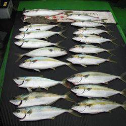 海宝丸 島根 釣果