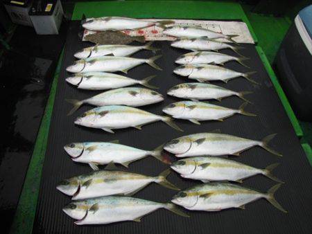 海宝丸　島根 釣果