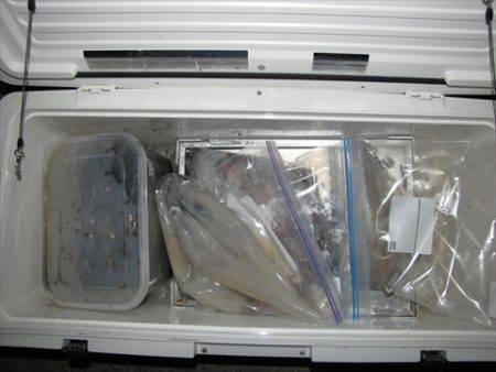 海宝丸　島根 釣果