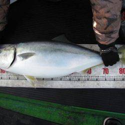 海宝丸　島根 釣果