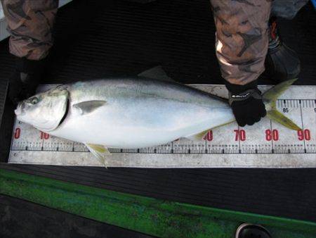 海宝丸　島根 釣果