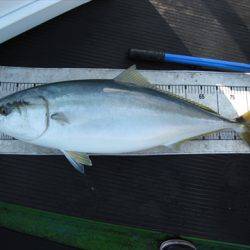 海宝丸　島根 釣果