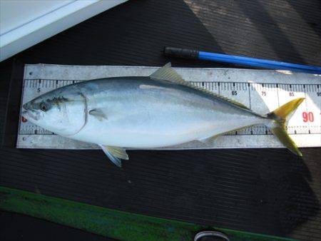 海宝丸　島根 釣果