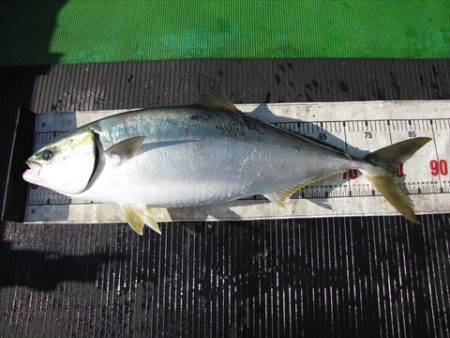 海宝丸　島根 釣果