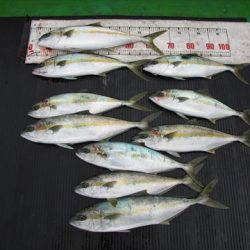 海宝丸 島根 釣果