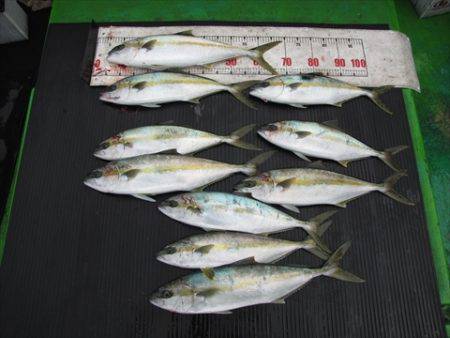 海宝丸　島根 釣果