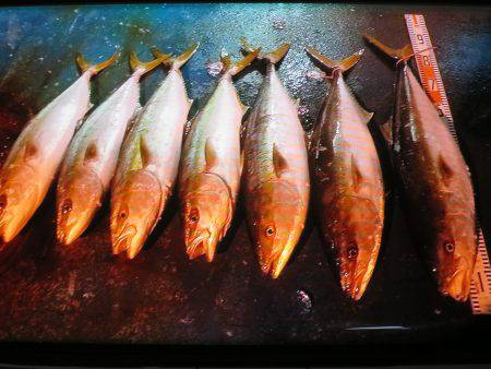 アジアマリンサービス 釣果