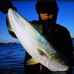 アジアマリンサービス 釣果