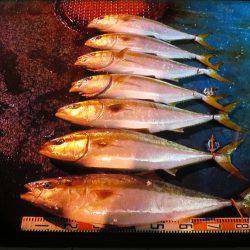 アジアマリンサービス 釣果