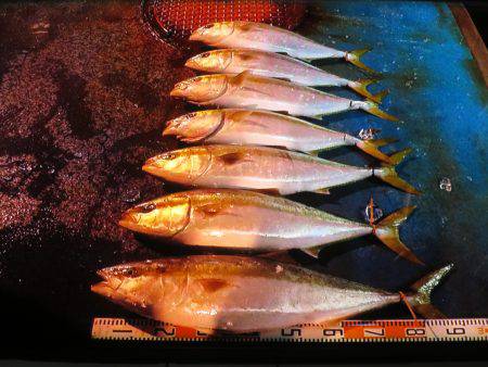 アジアマリンサービス 釣果