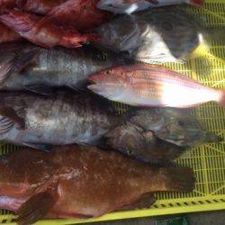 Sea Frend 片山丸 釣果