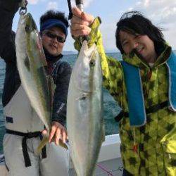 シーマジカル 釣果