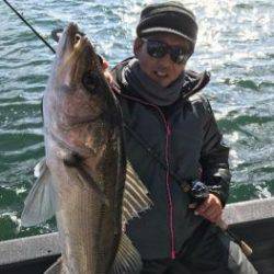 シーマジカル 釣果