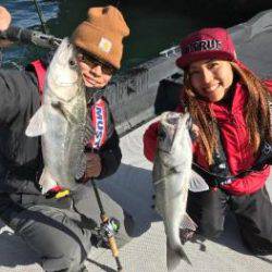 シーマジカル 釣果