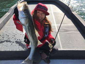 シーマジカル 釣果