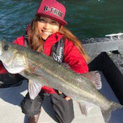 シーマジカル 釣果