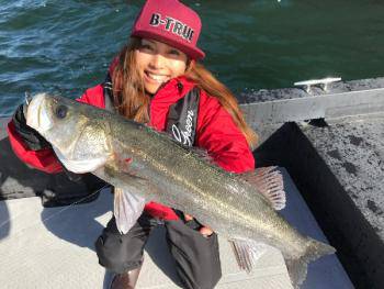 シーマジカル 釣果