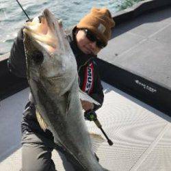 シーマジカル 釣果