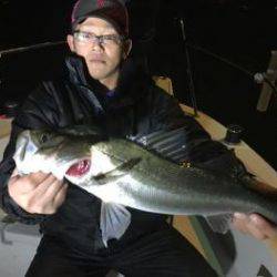 シーマジカル 釣果