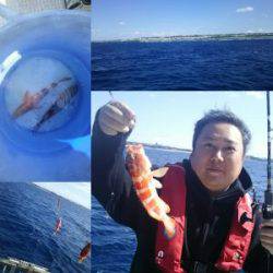 クルーザーフィッシングトムトム 釣果