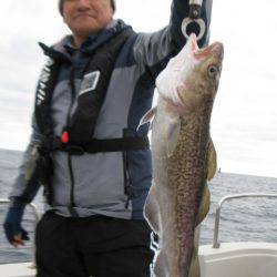 Aquanaut(アクアノート) 釣果