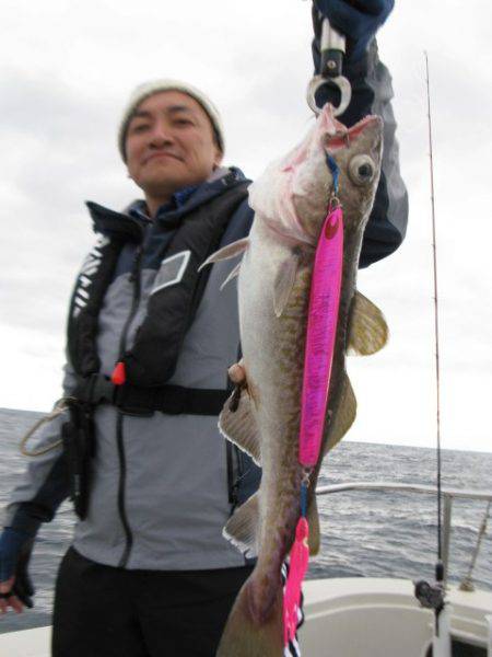 Aquanaut(アクアノート) 釣果